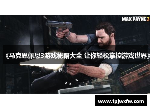 《马克思佩恩3游戏秘籍大全 让你轻松掌控游戏世界》